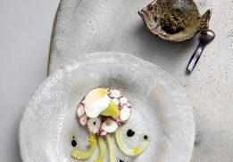 FINES TRANCHES DE POULPE DE MÉDITERRANÉE, SORBET CITRON ET FENOUIL SAUVAGE, CONCOMBRE LONG DE PROVENCE MARINÉ DANS SON JUS, VINAIGRETTE D’ENCRE DE SEICHE ET CITRON, CRÈME FROIDE DE FROMAGE DE CHÈVRE FRAIS