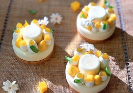 Cheesecake Mangue-Passion-Basilic-Jasmin