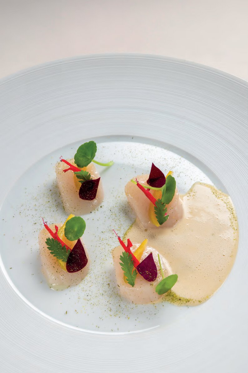 Saint-jacques de la rade de brest, kumquat, jus de barde au genévrier et chocolat blanc
