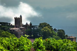 Voyage à Travers le Vignoble Français
