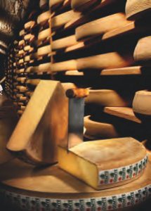 Le temps du Comté