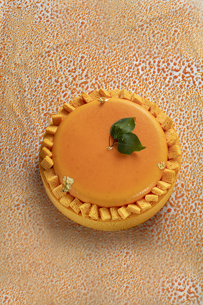 Entremets yaourt abricot