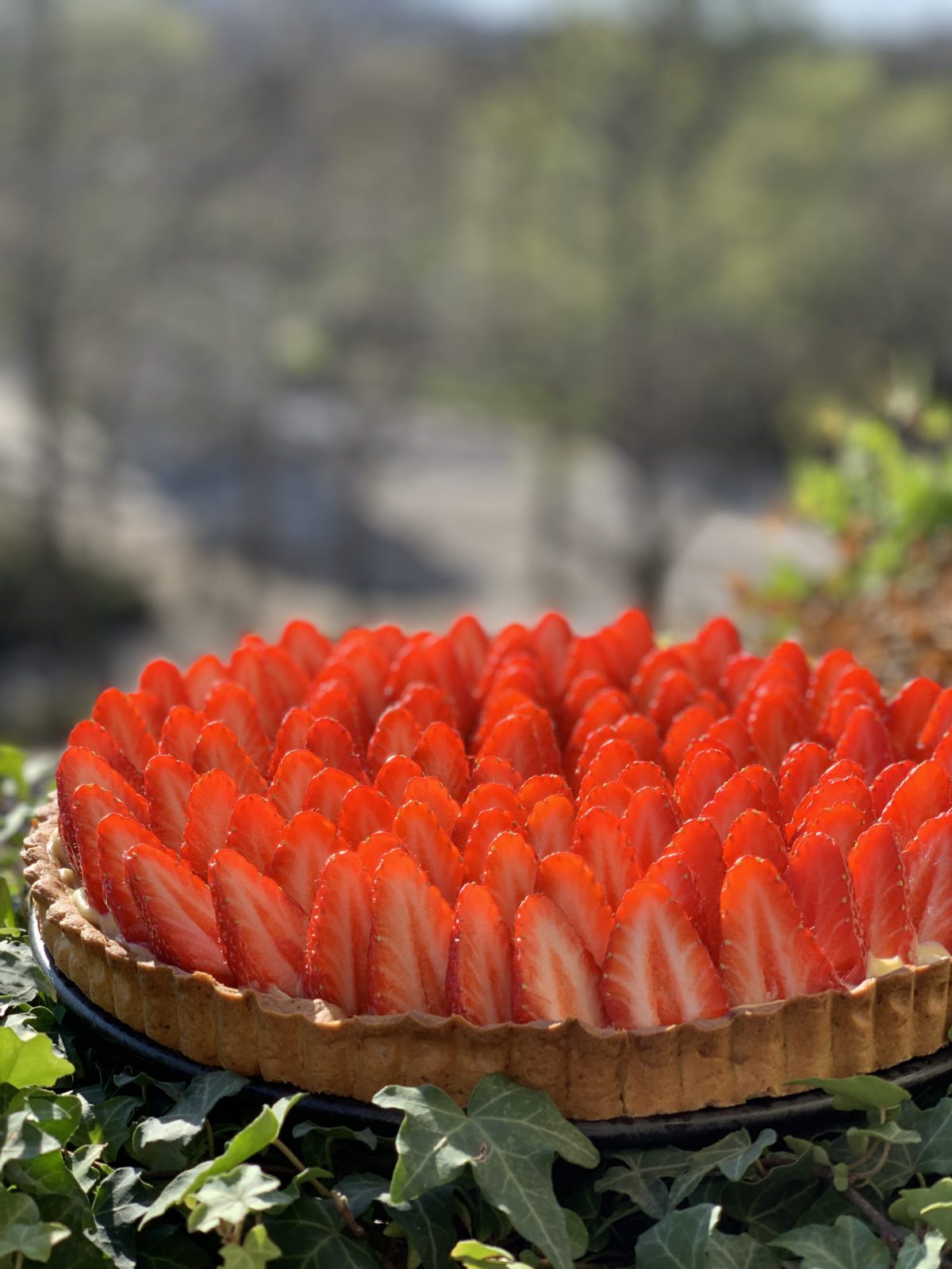Tarte aux fraises