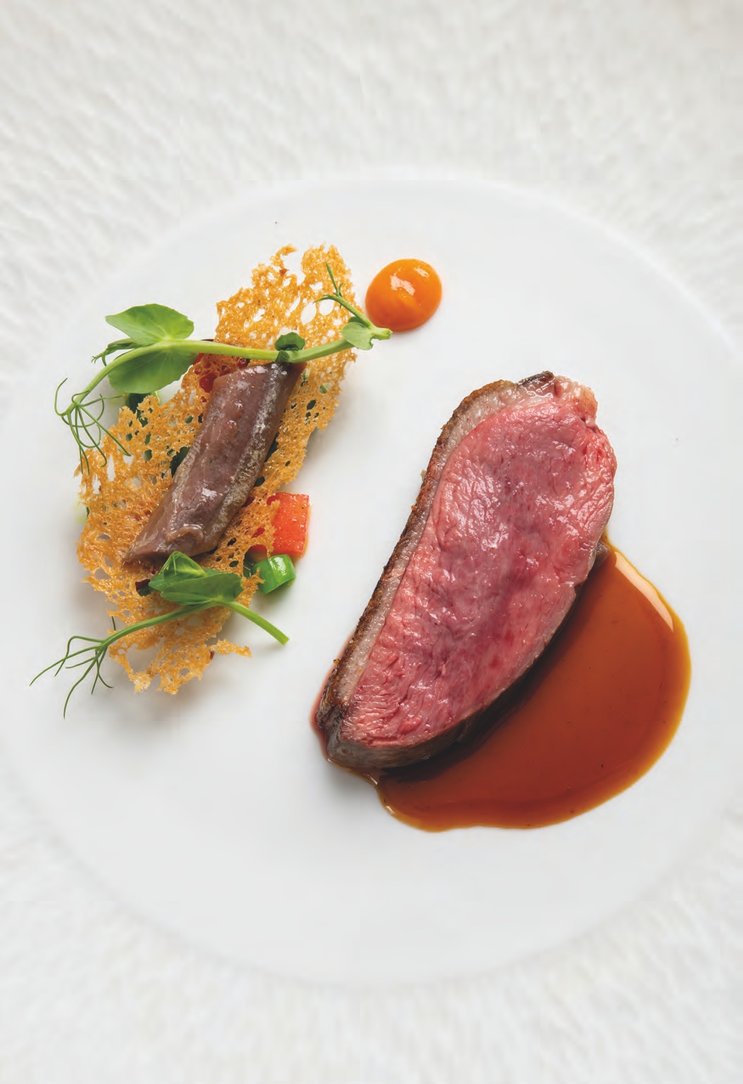 Canard de challans de la ferme burgaud en croûte de sel, haricots verts, chips de pain, condiment abricot et jus corsé