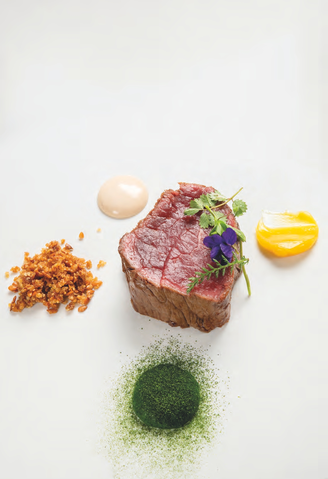 Boeuf de l’aubrac dans son écosystème