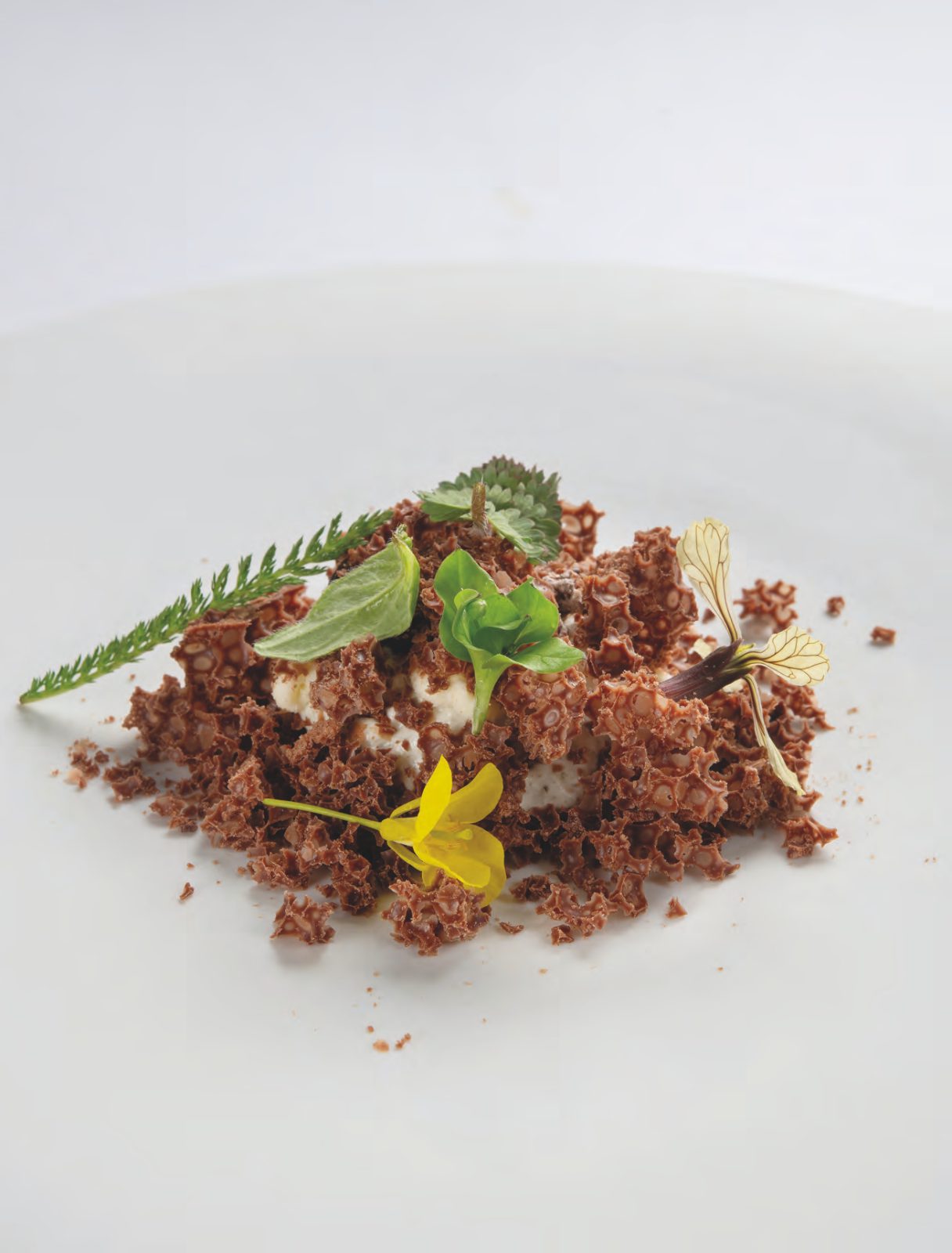 Terre d’aubrac