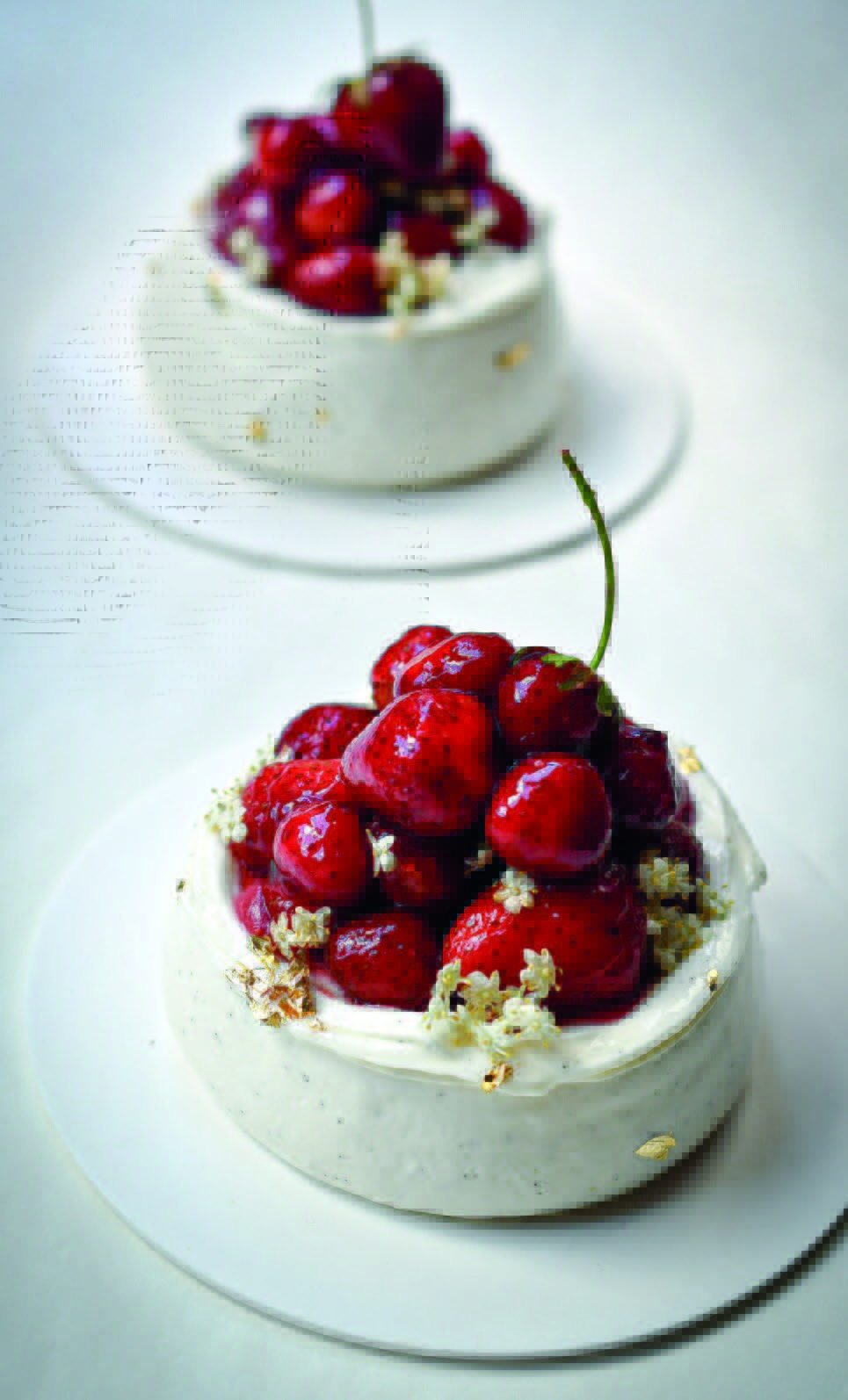 FRAISIER AUX PETITES MARAS DES BOIS &amp; FLEUR DE SUREAU