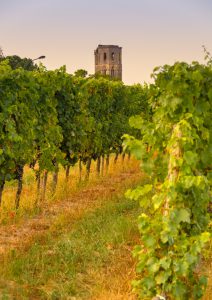 Balade dans les Vignes : le Bordelais… Suite