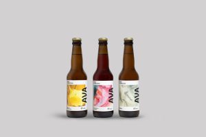 Le hard kombucha débarque en France