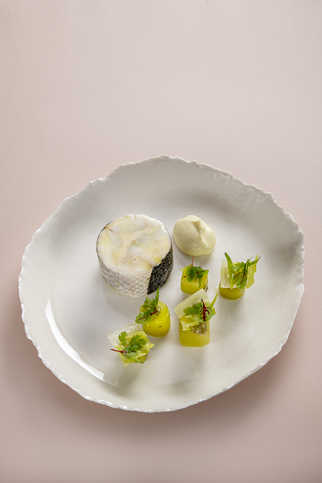 Cœur de celtuce glacé,mousse à l’huile d’olive, bar de ligne étuvé