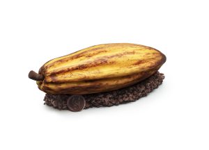 L’incontournable bûche de Noël, une sélection entre fantaisie et tradition