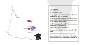 Cahors, le Vent de la Jeunesse, la Renaissance d&rsquo;Un Grand Terroir.