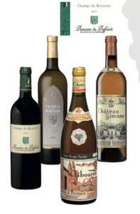 Balade dans les Vignes, le Vignoble Provençal