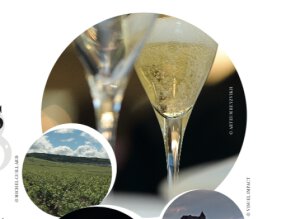Balade dans les Vignes