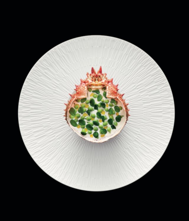 Fraîcheur d’araignée de mer, crème de fenouil et petits pois très frais