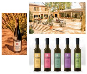 Renouveau au Domaine de Panéry
