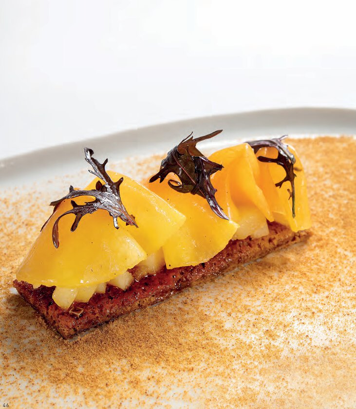 Tatin de courge longue de nice,  miel, vinaigre de banyuls et pain d’épices