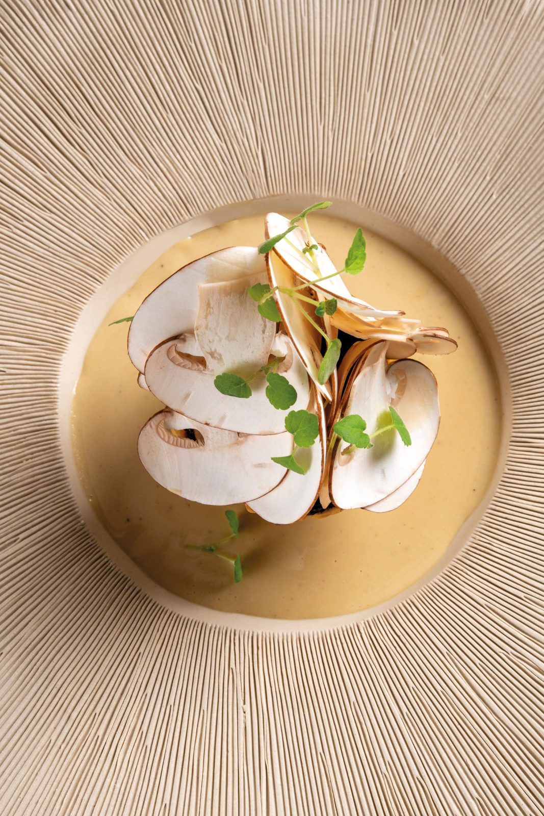 La tarte d’avray champignons, oignons confits, agastache