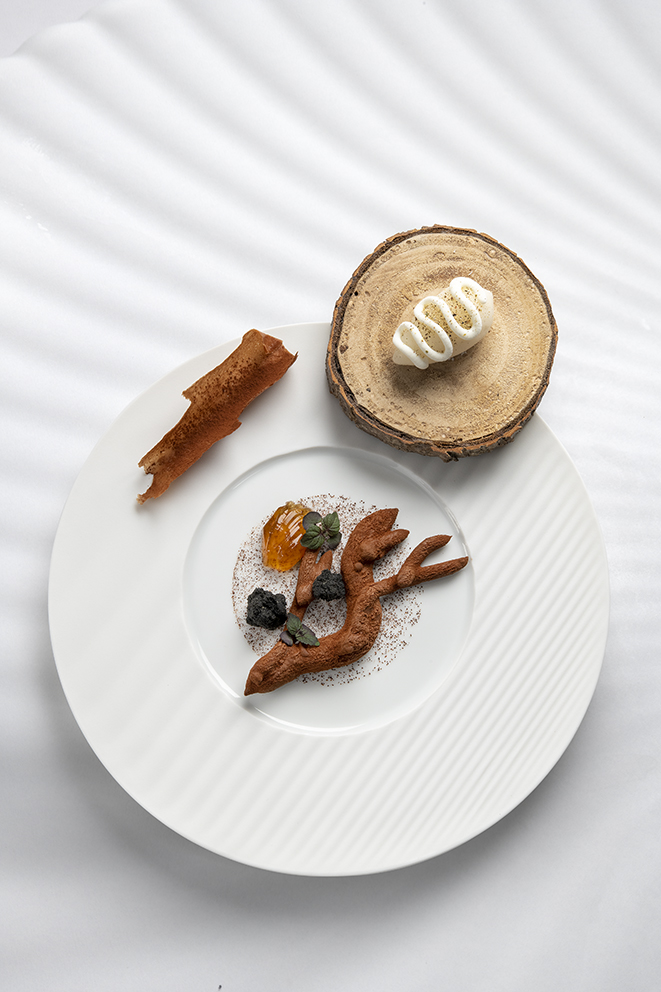 Chocolat fumé au bois d’amandier, sirop d’érable, sorbet mucilage