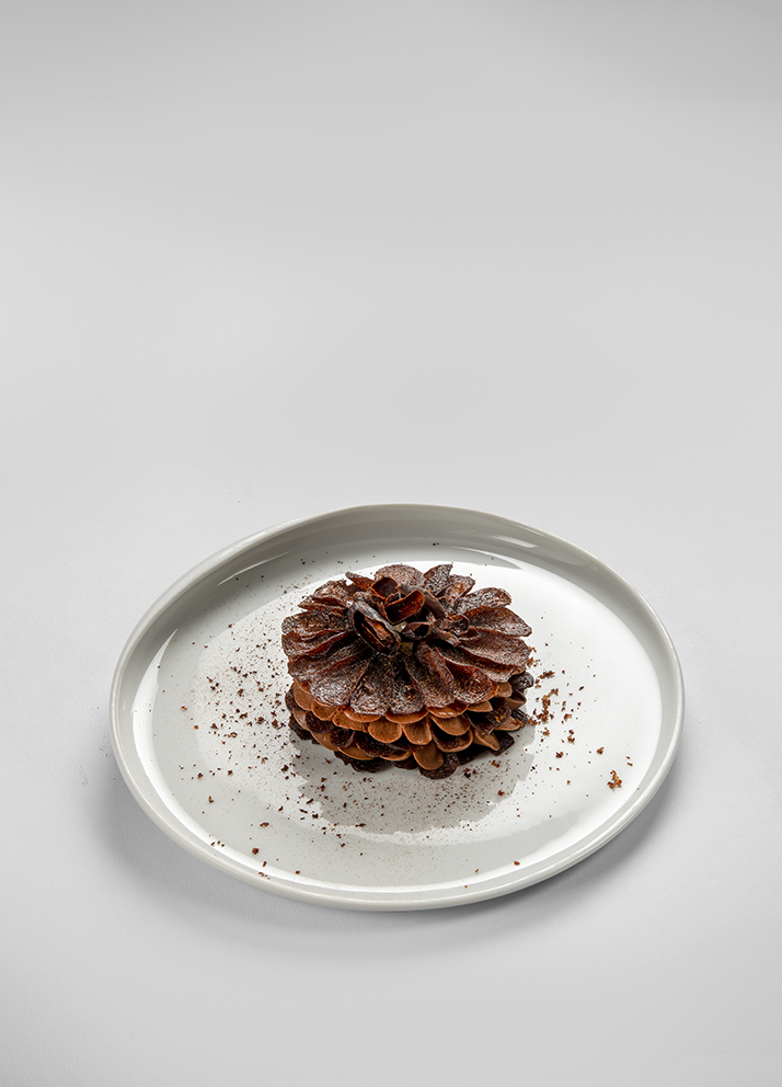 Fleur de cabosse
