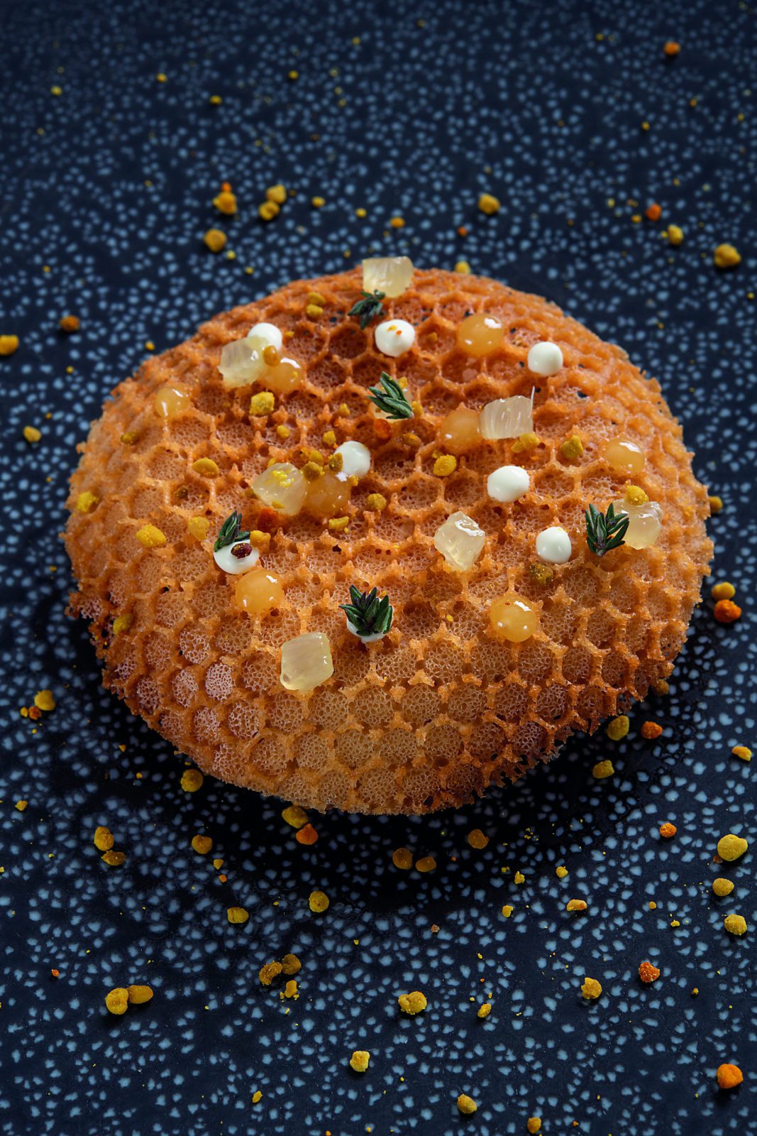 Foie gras en nid d’abeille, miel de citronnier, yaourt déshydraté et thym citron