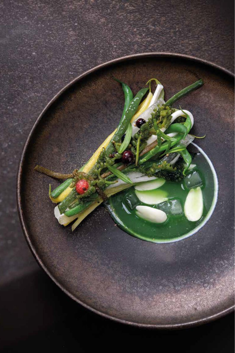 Haricots verts, aloe vera, cassis