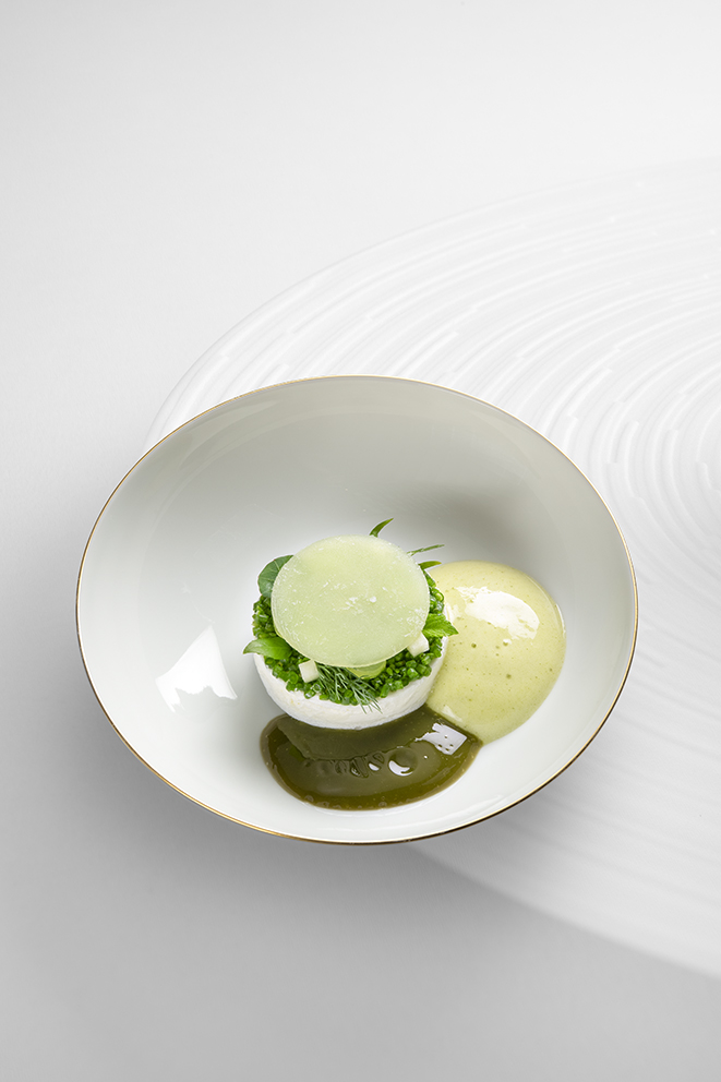 Herbes « assez » de salicornes
