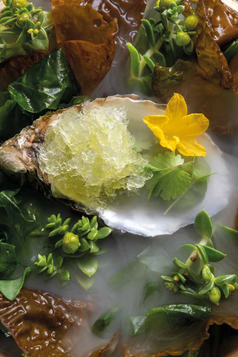 Huître, concombre, basilic, granité gin-tonic
