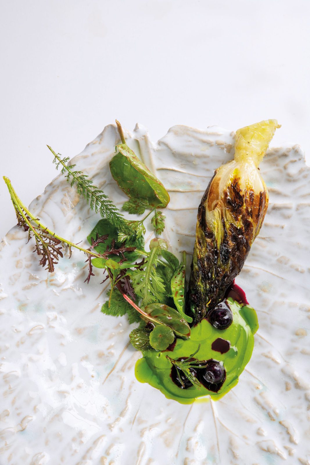 Laitue à la braise et herbes potagères