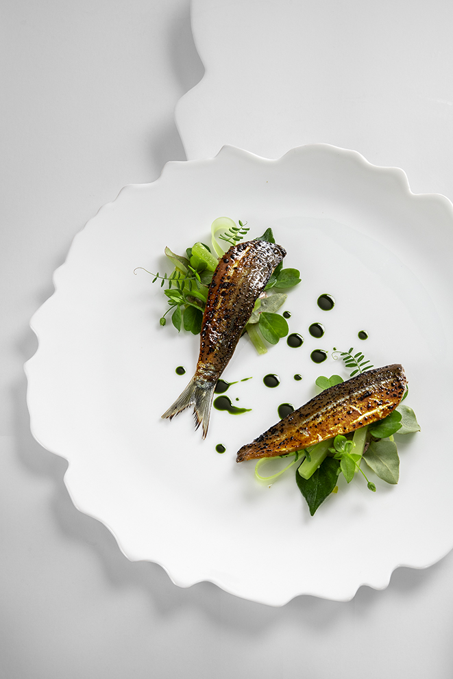 La sardine de méditerranée