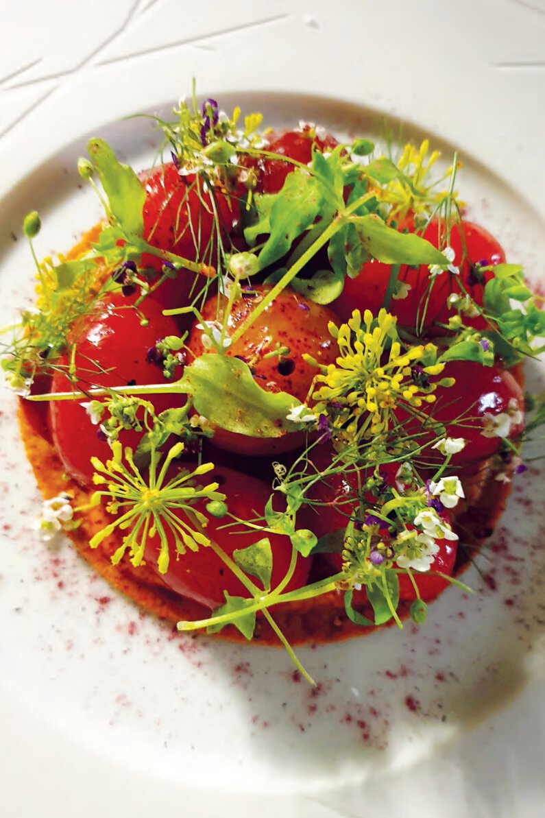 Les tomates « cherry » en texture servies sur une fine tarte tomate origan, tendre gelée, crème de coriandre, sorbet moutarde verte
