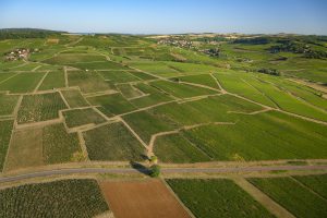Balade dans les Vignes, la Côte Chalonnaise