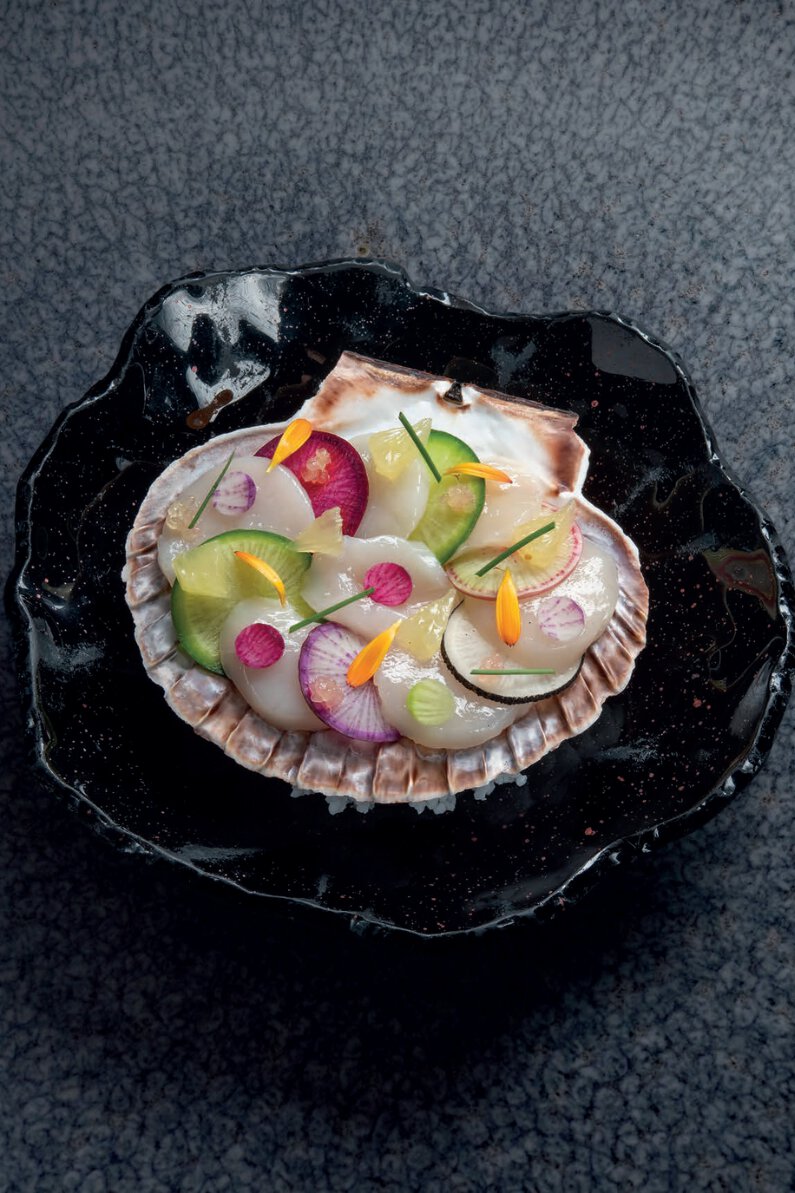 Noix de saint-jacques servie sur sa coquille, radis multicolore et agrumes