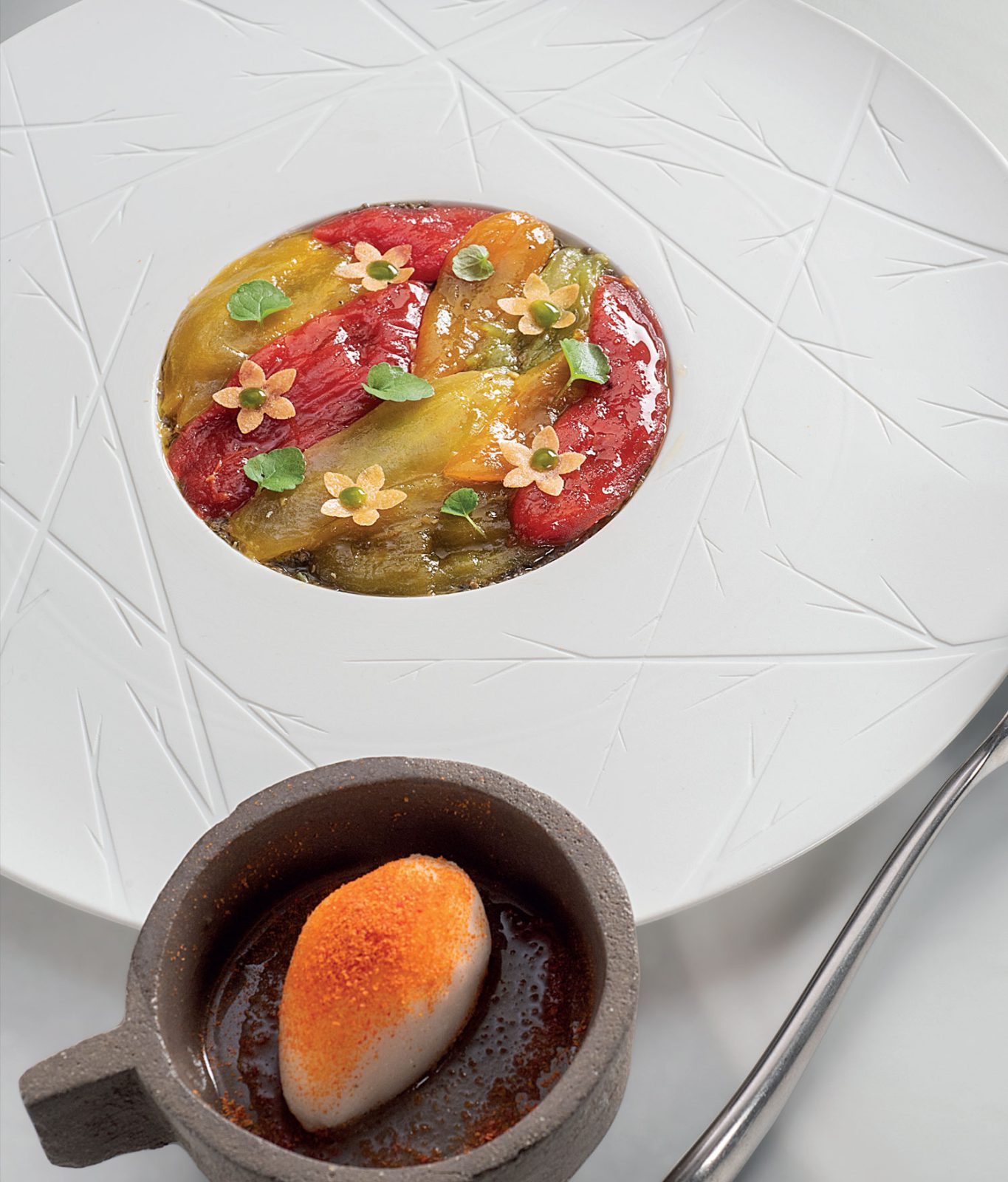 Nuancier de pétales de tomates en différentes textures, sorbet blancs