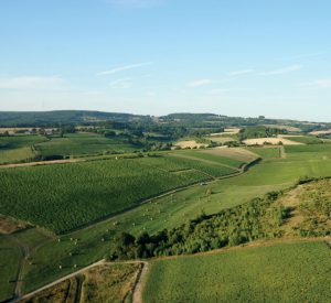 Balade dans les Vignes, la Vallée de la Loire