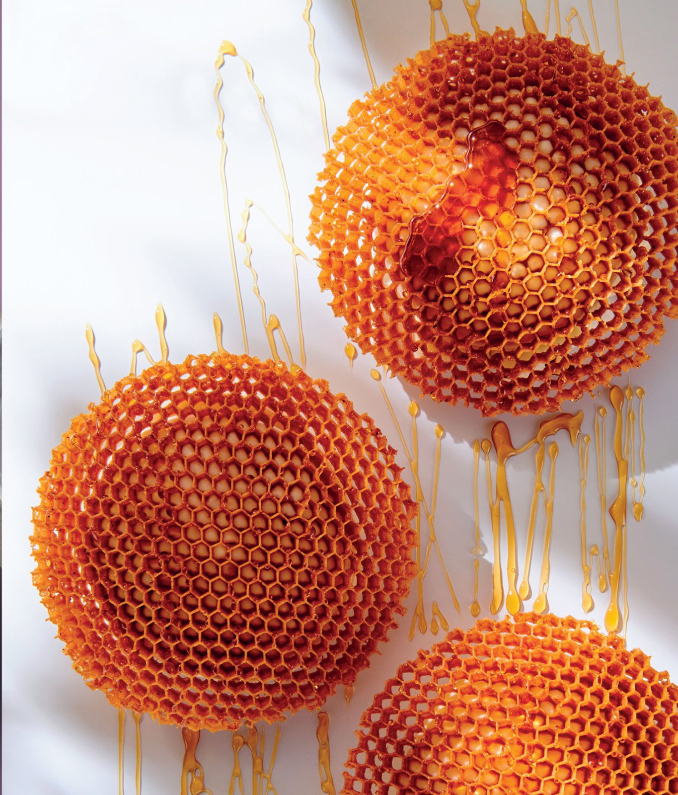 Nid d&rsquo;abeilles
