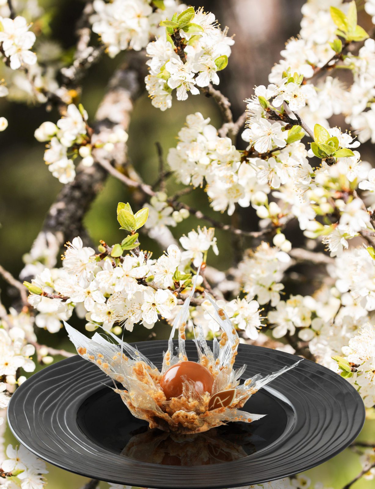 Fleur d’amandes