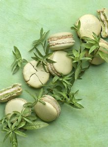 Pierre Hermé signe une collection de macarons inédite