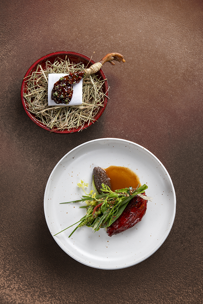 Pigeon de pornic, tomate, moutarde, herbes du croisic