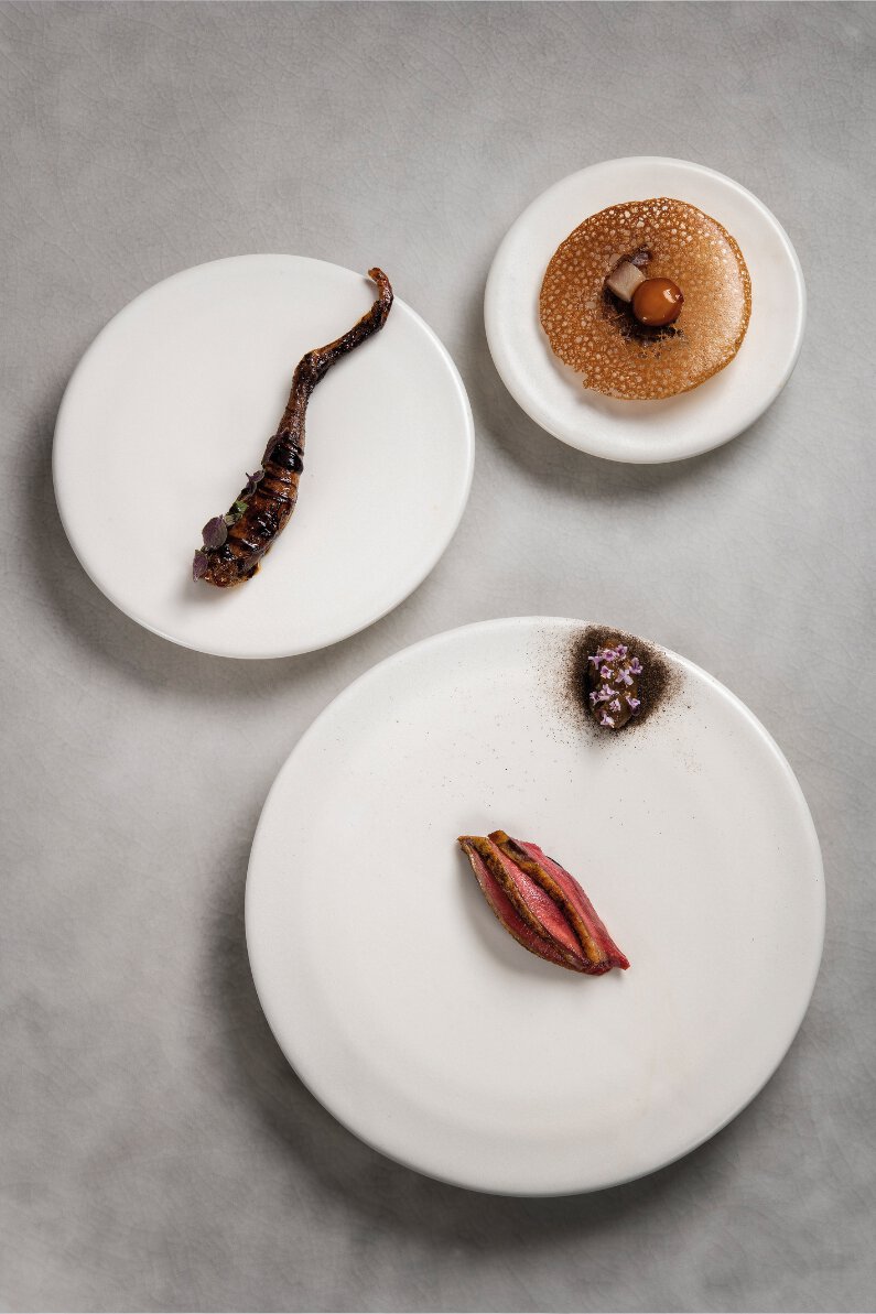 Pigeon de didier célestin, figue, soyu café