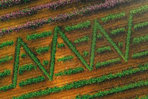 Trophées Omnivore 2022, 7 nouveaux lauréats