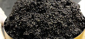Les producteurs de caviar français lancent un appel aux chefs