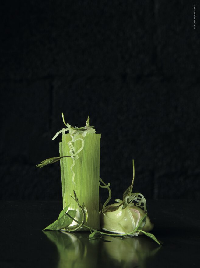 Rhubarbe, liseron