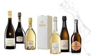 Les Champagnes Sont Toujours Synonymes de Fêtes… par Louise Delamarre
