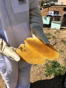La Maison Aribert milite pour les abeilles