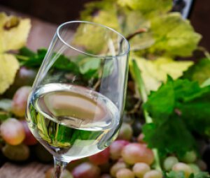 Si Frais Sauvignon par Louise Delamarre