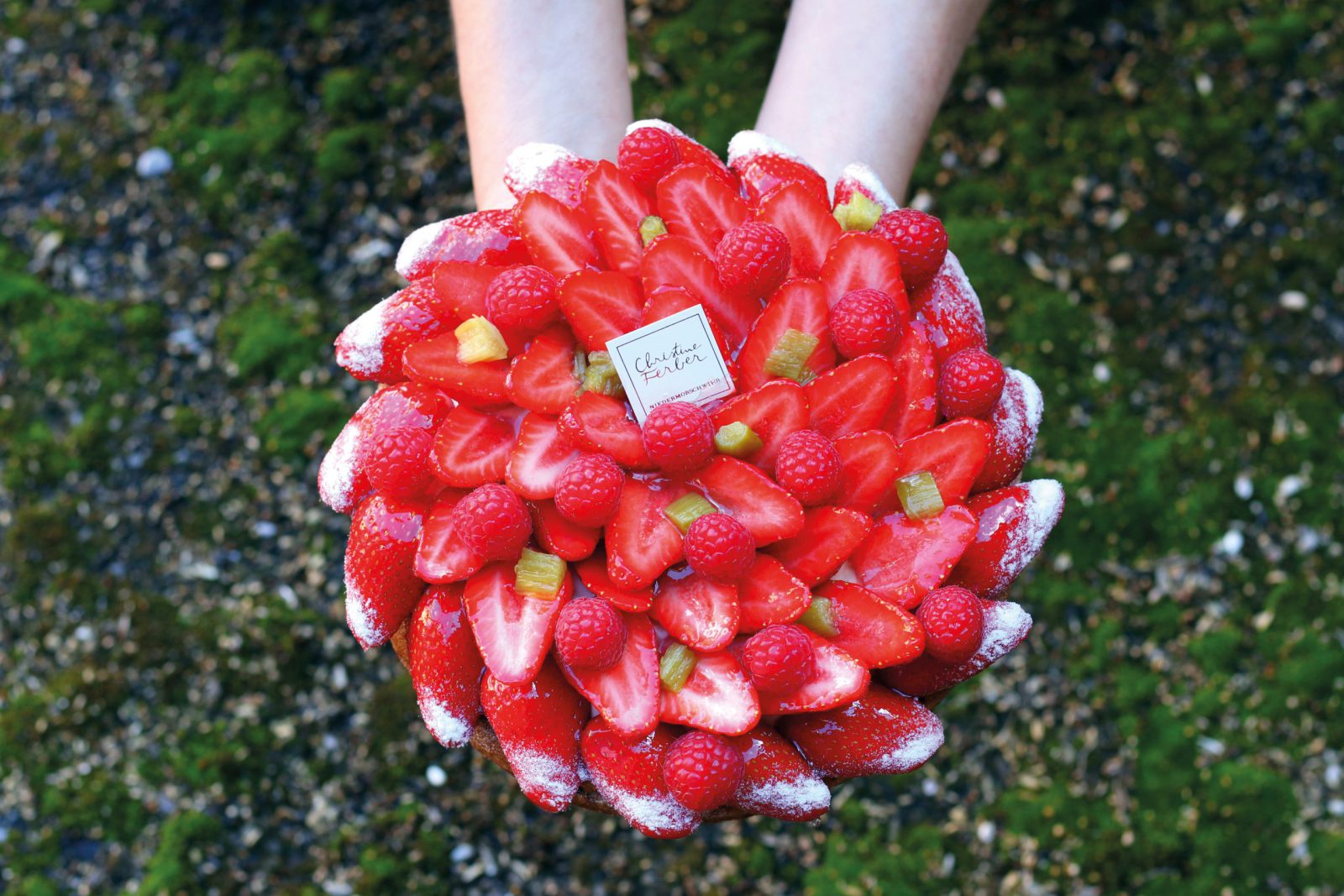 Tarte sablée aux amandes fraises et rhubarbe