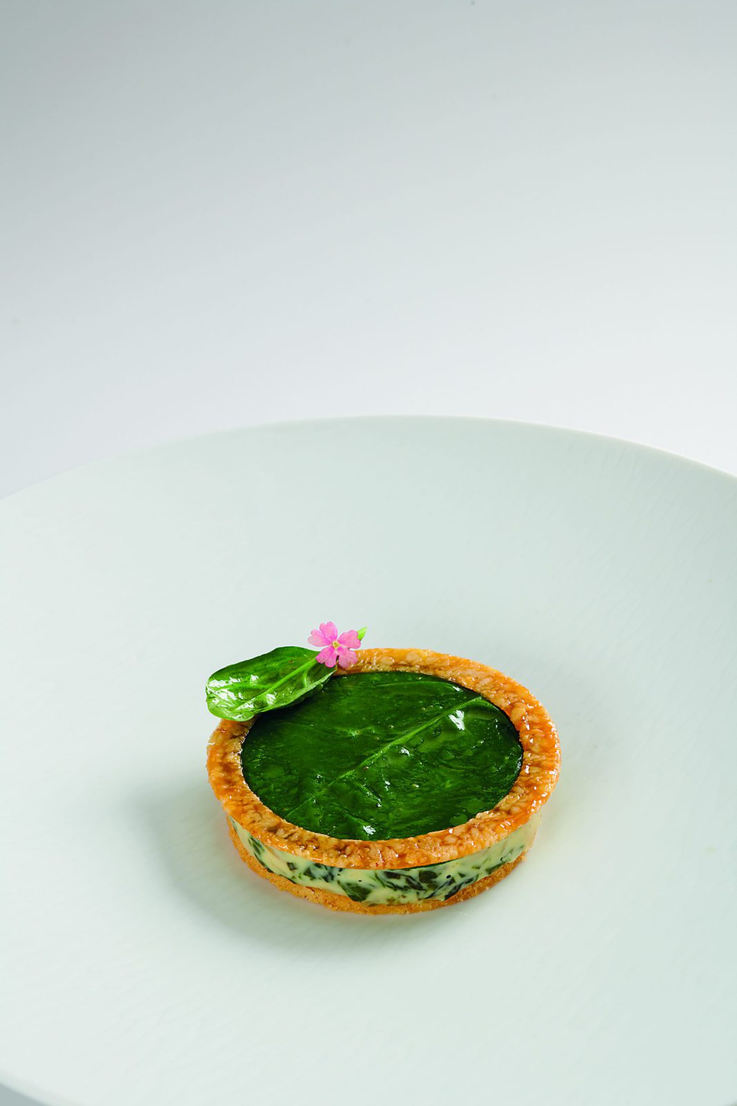 Torta de blea, salade de jeunes pousses