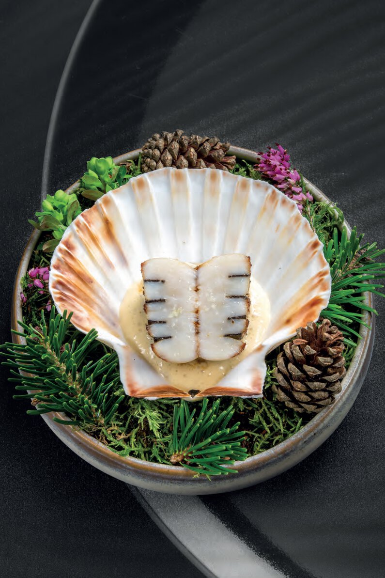 Terre et mer, noix de coquille saint-jacques aux truffes et céleri, sauce vin blanc