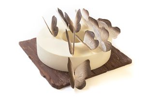 Envolée de papillons par Eddie Benghanem